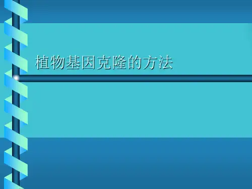 植物基因克隆的方法