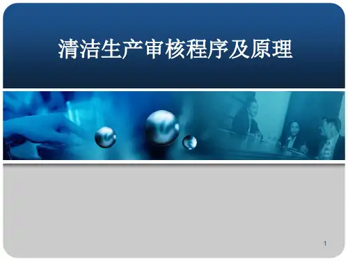 清洁生产审核程序及原理