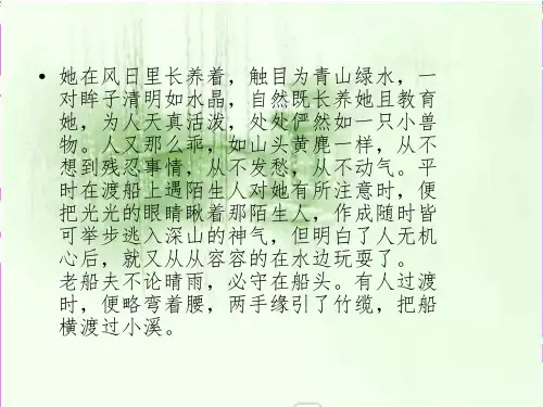 沈从文——高考作文素材ppt课件