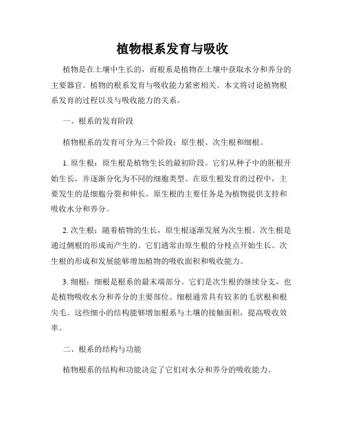 植物根系发育与吸收