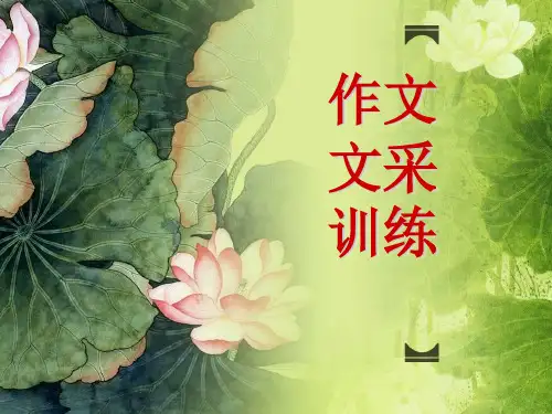 高考作文：语言有文采 PPT课件(共43张)