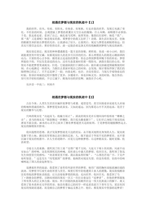 相遇在梦想与现实的轨迹中作文
