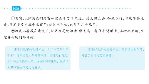 部编版语文五年级上册单元主题阅读第五单元课件65张PPT