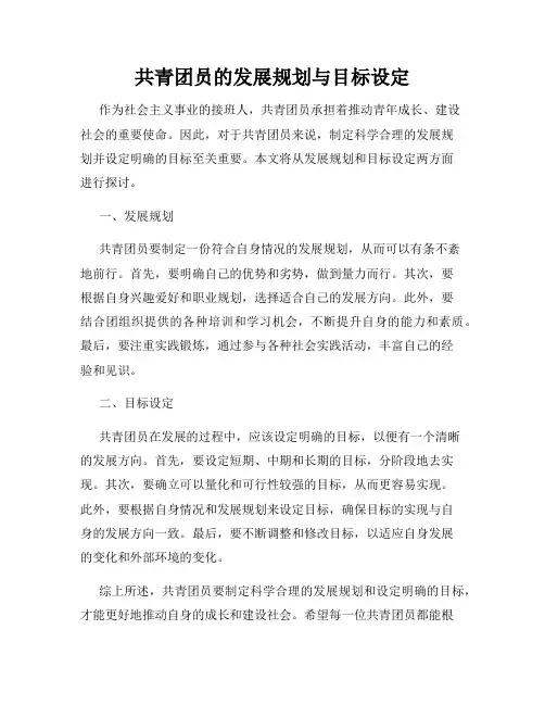 共青团员的发展规划与目标设定