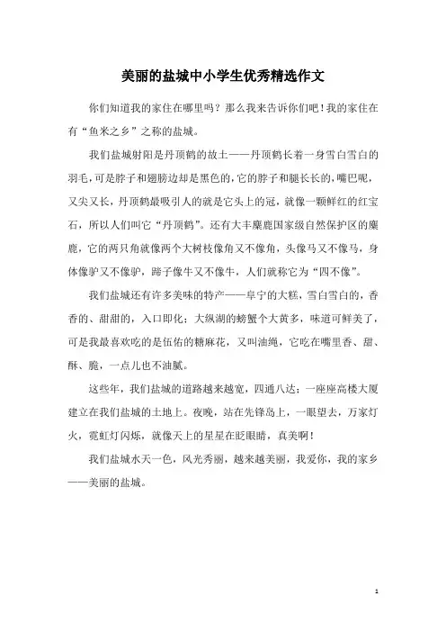 美丽的盐城中小学生优秀精选作文
