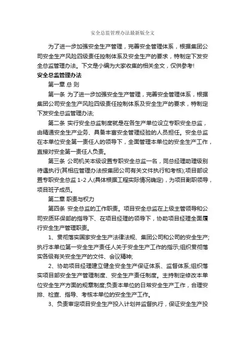 安全总监管理办法最新版全文_办法_