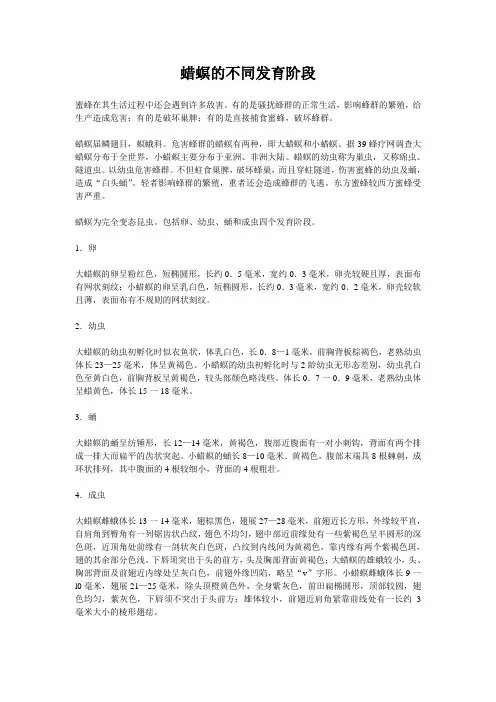 蜡螟的不同发育阶段