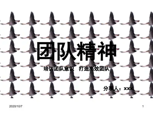 培训团队意识之打造高效团队PPT课件(59页)