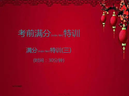 中考语文高分突破 满分特训3语文课件