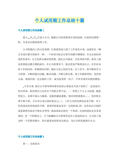 个人试用期工作总结十篇