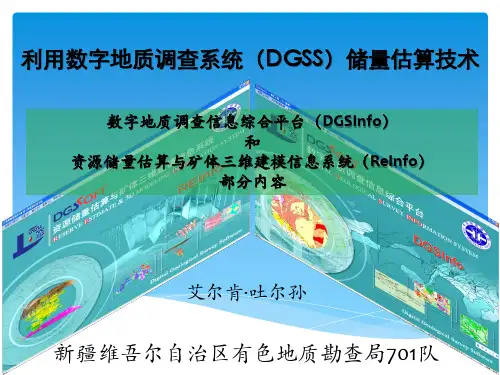 数字地质调查系统(DGSS)储量估算技术(1)