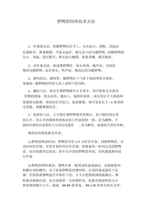 野鸭的喂养技术方法