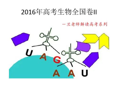 2016年全国卷II理综生物(PPT解析)