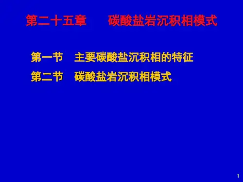 沉积岩与沉积相碳酸盐岩沉积相和相模式