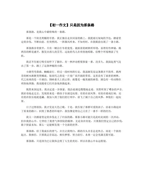 【初一作文】只是因为那条路