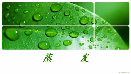 化工原理之蒸发