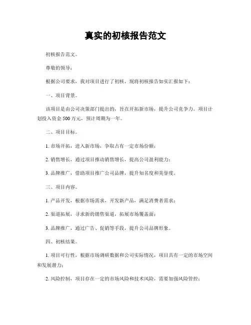 真实的初核报告范文