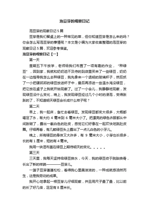泡豆芽的观察日记