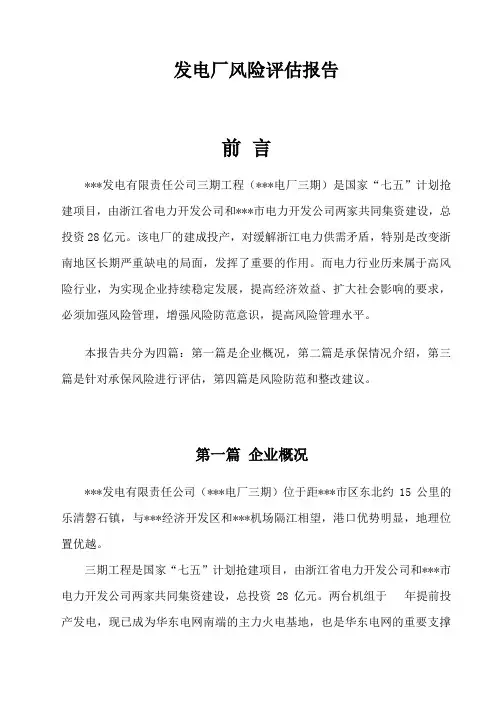 发电厂风险评估报告