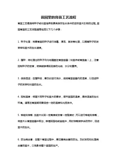 苗园里的育苗工艺流程