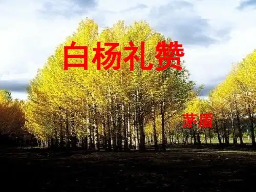 人教版八年级语文上册第14课《白杨礼赞》课件(共26张PPT)