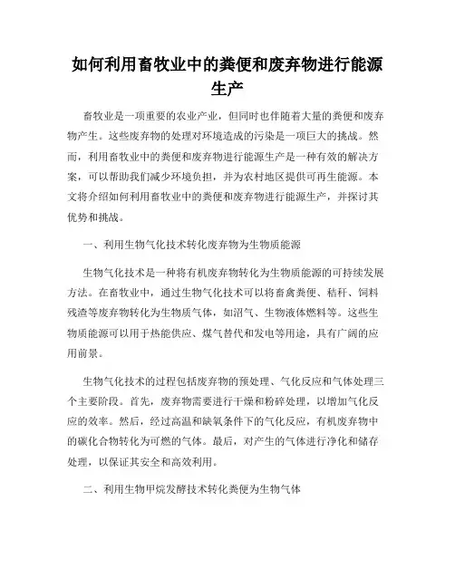 如何利用畜牧业中的粪便和废弃物进行能源生产