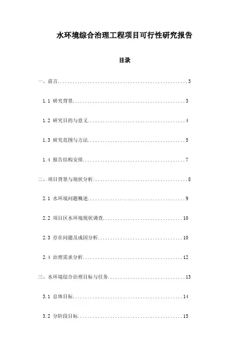 水环境综合治理工程项目可行性研究报告