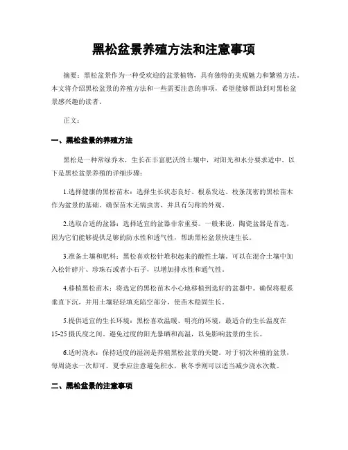黑松盆景养殖方法和注意事项