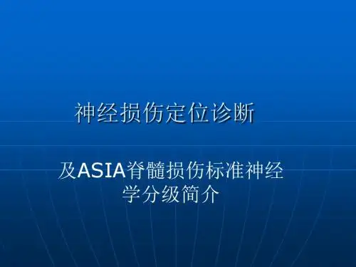 神经损伤定位诊断