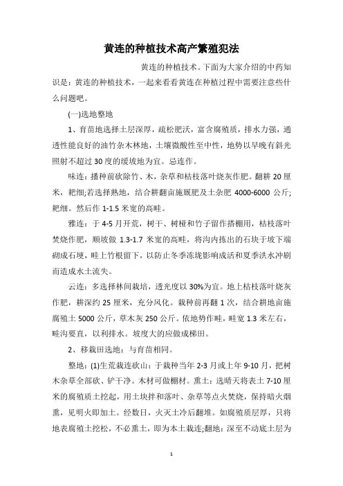 黄连的种植技术高产繁殖犯法