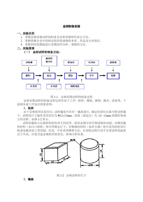金相制备实验