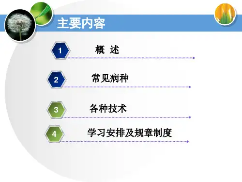 妇产科入科教育ppt演示课件