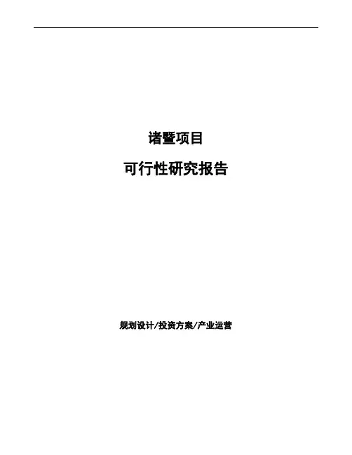 诸暨投资项目可行性研究报告