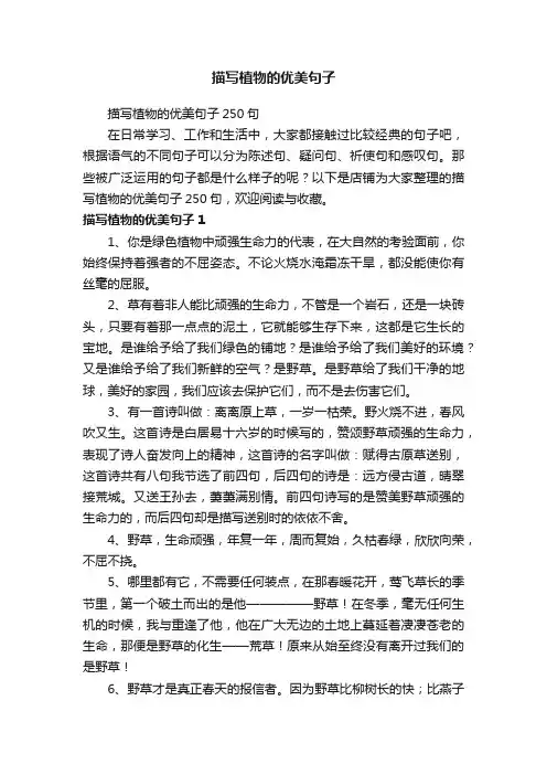 描写植物的优美句子