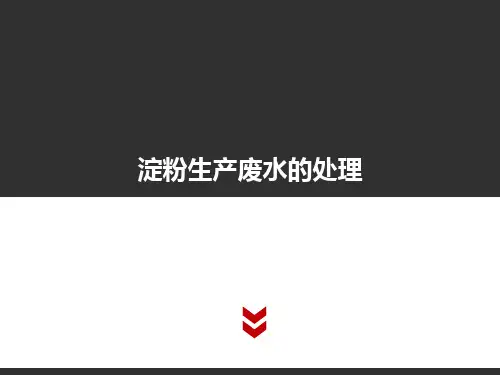 淀粉生产废水的处理