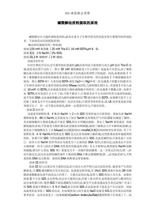 SDS碱裂解法原理