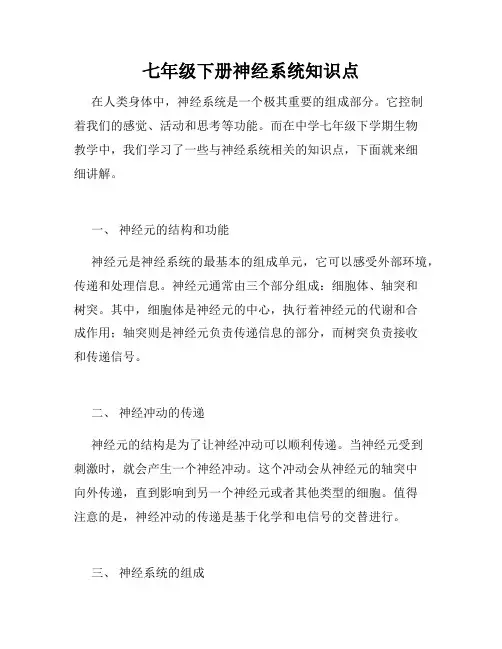 七年级下册神经系统知识点