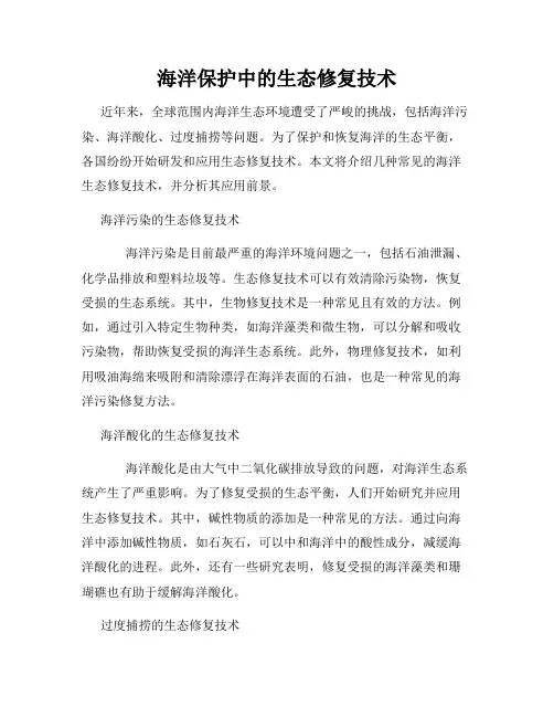 海洋保护中的生态修复技术