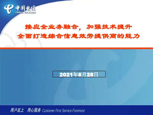 汇总中国电信政企客户服务及支撑工作.ppt