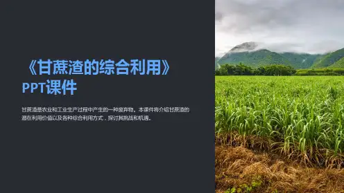 《甘蔗渣的综合利用》课件