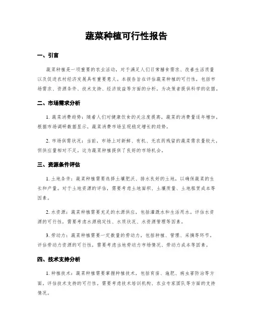 蔬菜种植可行性报告