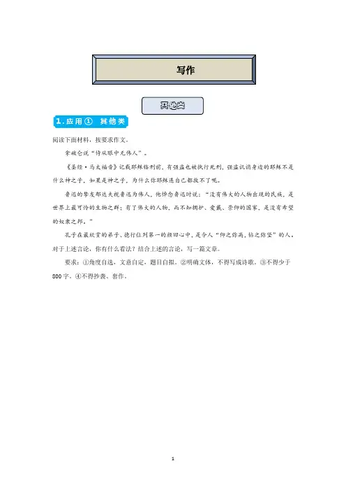 高中语文 (山东省新高考)高三精准培优专练 写作(其它类) 含答案