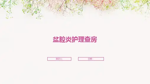 盆腔炎护理查房