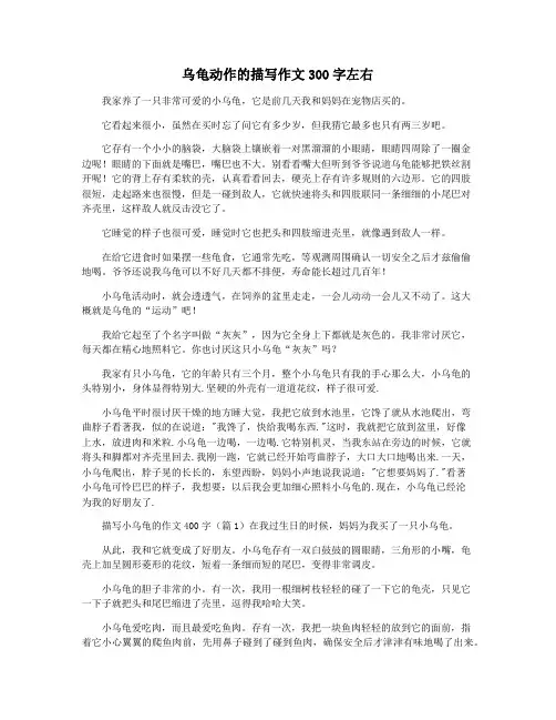 乌龟动作的描写作文300字左右