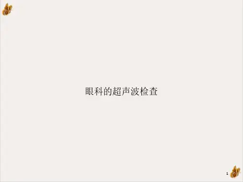 眼科的超声波检查ppt课件