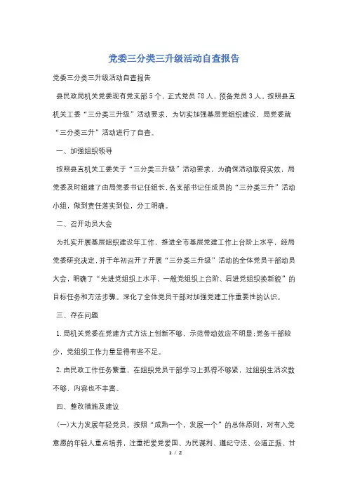 党委三分类三升级活动自查报告