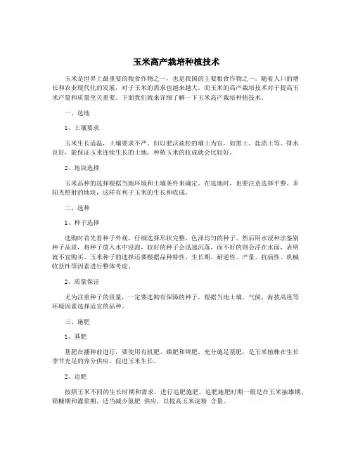 玉米高产栽培种植技术