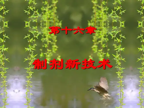 药剂学 第16章 制剂新技术