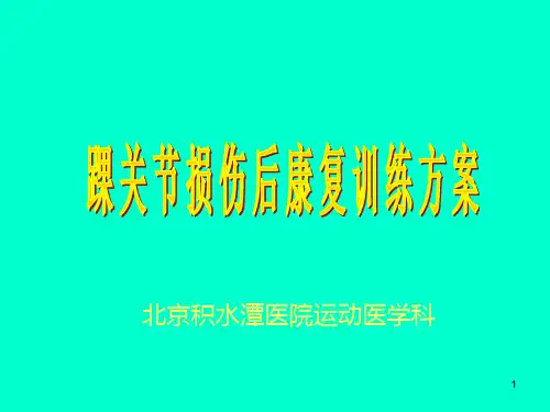 踝关节损伤后康复训练方案ppt课件