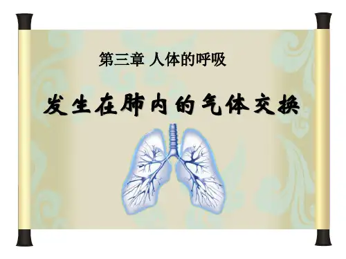 《发生在肺内的气体交换》人体的呼吸PPT课件3